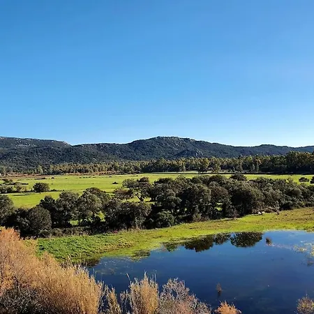 For 46 People In The Heart Of Porto-vecchio