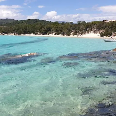 For 46 People In The Heart Of Porto-vecchio *