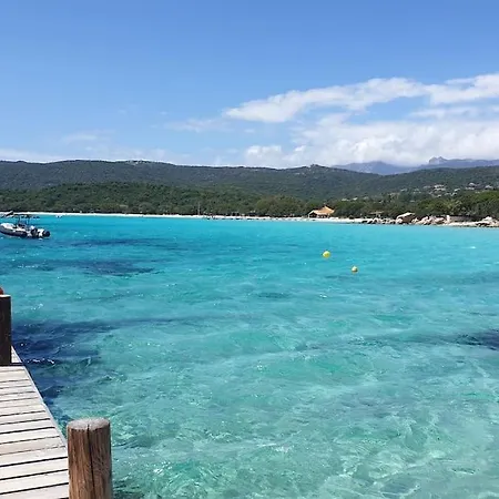 Apartman For 46 People In The Heart Of Porto-vecchio Porto-Vecchio