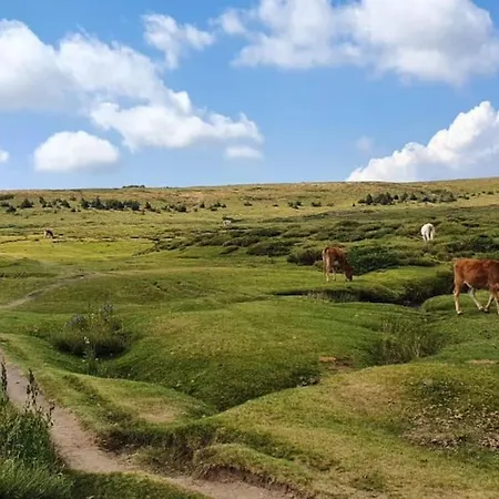 For 46 People In The Heart Of Porto-vecchio Apartment *