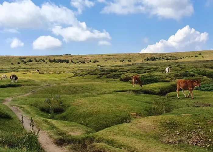 For 4 Ou 6 People In The Heart Of Porto-vecchio Apartmán Porto-Vecchio (Corsica)